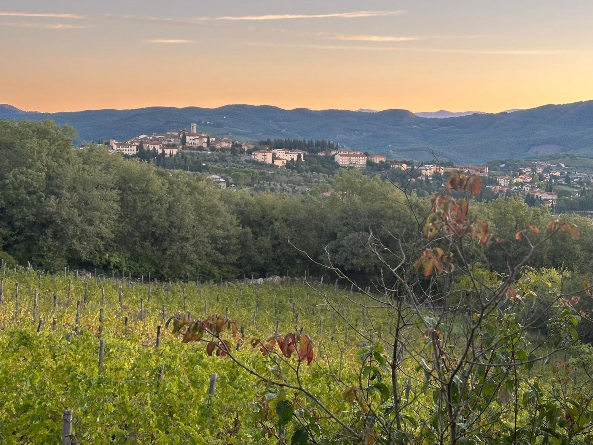 Agriturismo Malpensata Radda in Chianti Εξωτερικό φωτογραφία