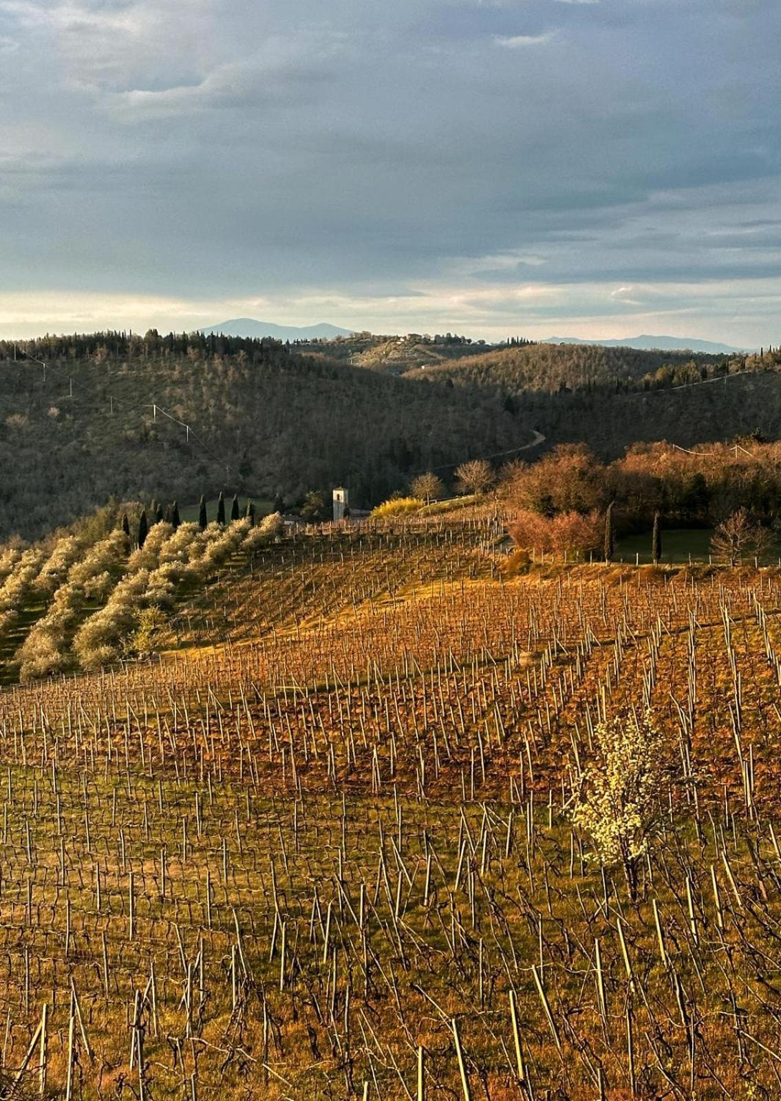 Agriturismo Malpensata Radda in Chianti Εξωτερικό φωτογραφία