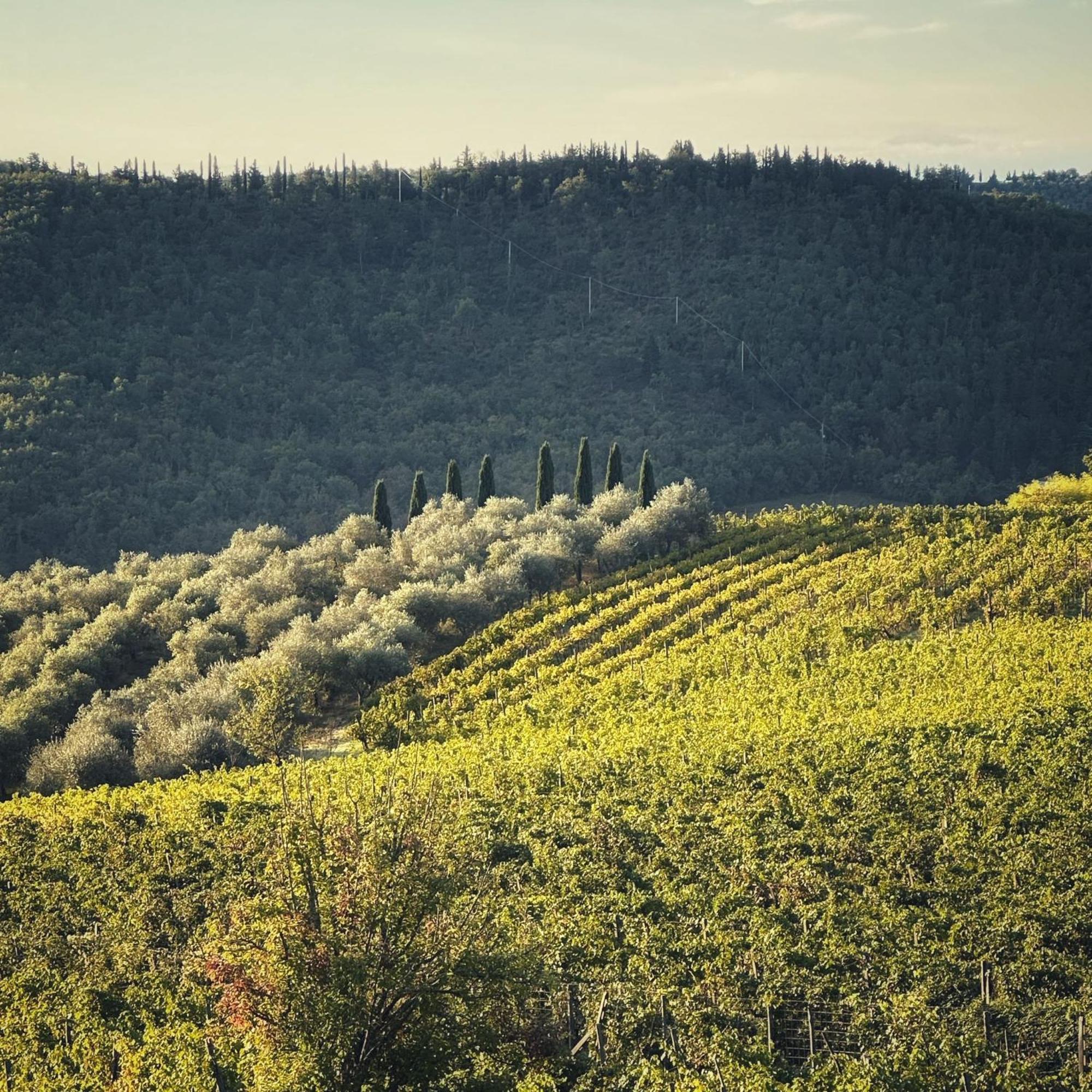 Agriturismo Malpensata Radda in Chianti Εξωτερικό φωτογραφία